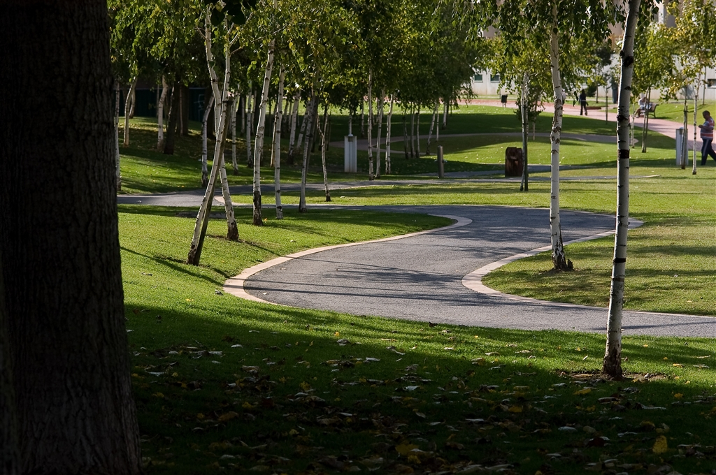 Vale das Flores Linear Park